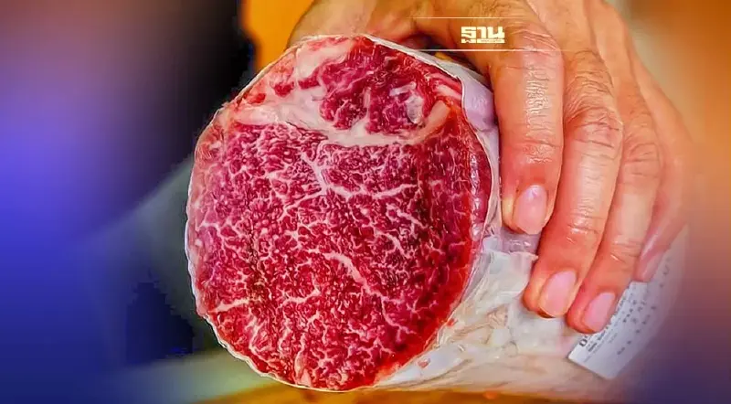 สุดภาคภูมิใจ"เนื้อโคราชวากิว"หวังเอเปคหนุนขึ้นอันดับโลก