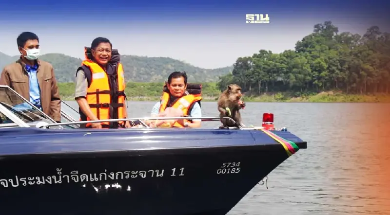 เกษตรฯเล็งจัดตั้งเป็นเขตอนุรักษ์ลิงแสมเพื่อการเรียนรู้