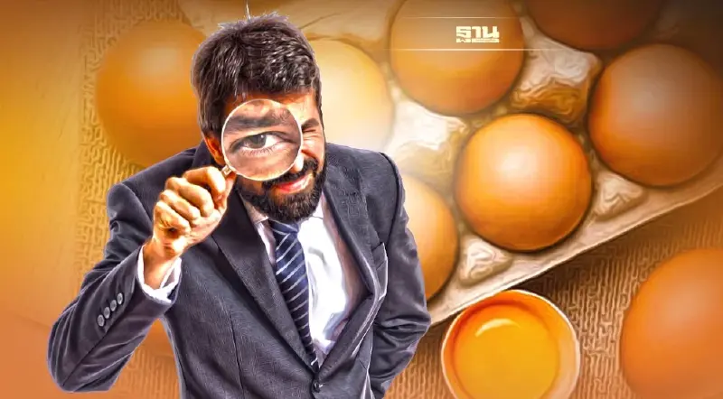 แก้ “ไข่ไก่" ล้นตลาด งัด 3 มาตรการอุ้มราคา