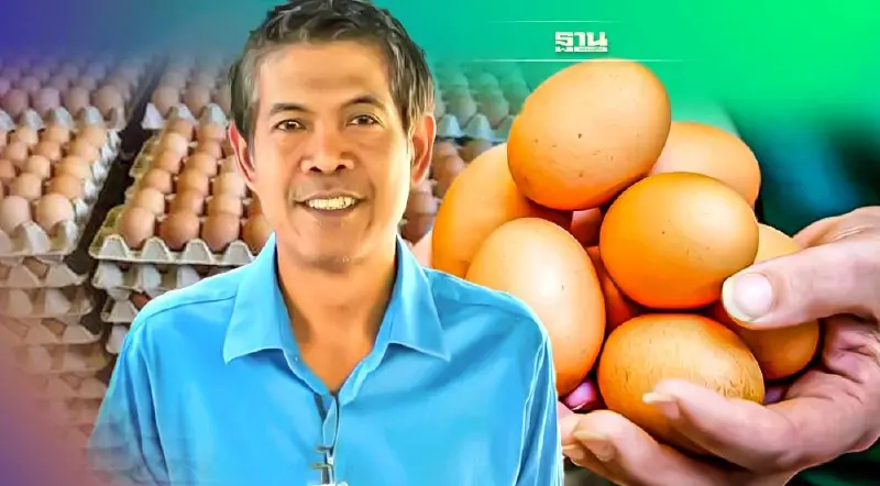 “ไข่ไก่” ขายอืด ผู้ค้ารับไม่ไหว "ชะลอ-หยุดรับซื้อ" แล้ว