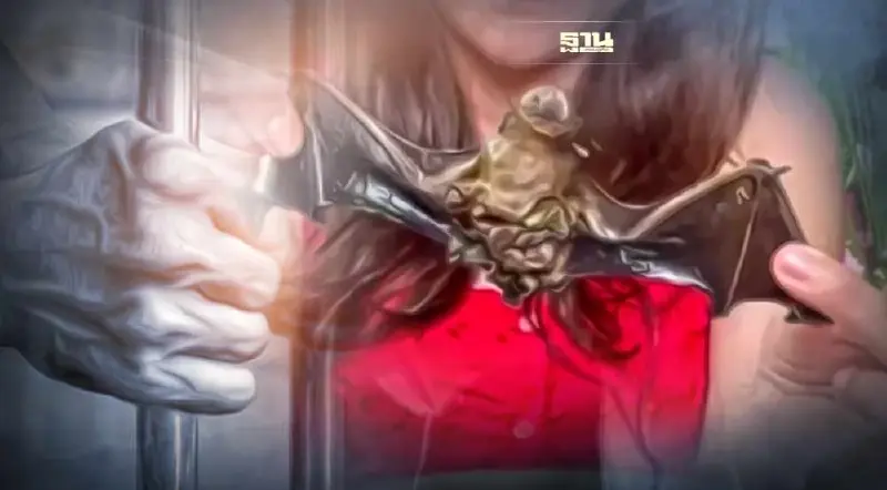 เตือนภัย กินค้างคาว เสี่ยงเป็นโรค – ติดคุก