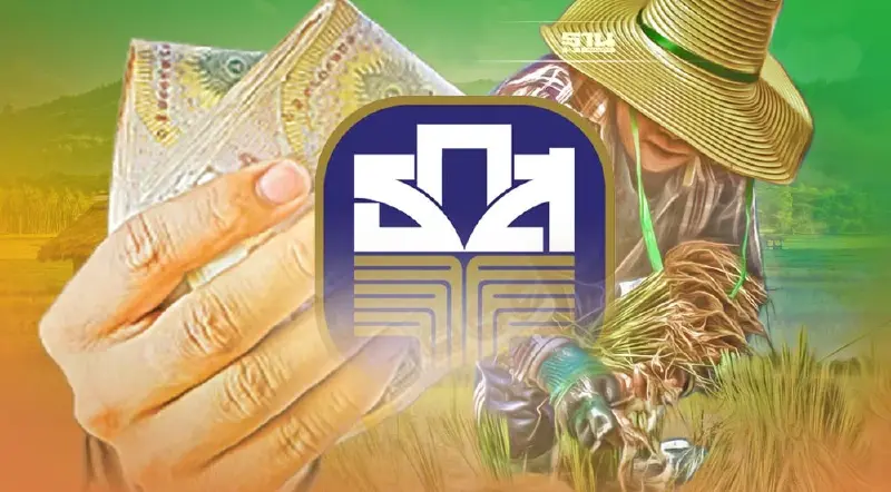 โอนเงินประกันรายได้ข้าว ปี 4 คาด ธ.ก.ส. เริ่มจ่ายงวดแรก 22 พ.ย.65