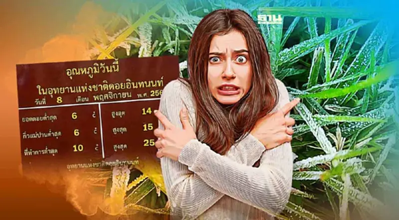 ดอยอินทนนท์หนาว 6 องศาฯ เกิด"เหมยขาบ"ต่อเนื่องวันที่สอง ดอยอินทนนท์หนาว 6 องศาฯ เกิด"เหมยขาบ"ต่อเนื่องวันที่สอง