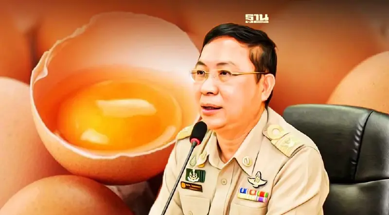 ปศุสัตว์ดันส่งออกไข่ไก่ มากกว่า 60 ล้านฟอง แก้ราคาร่วง