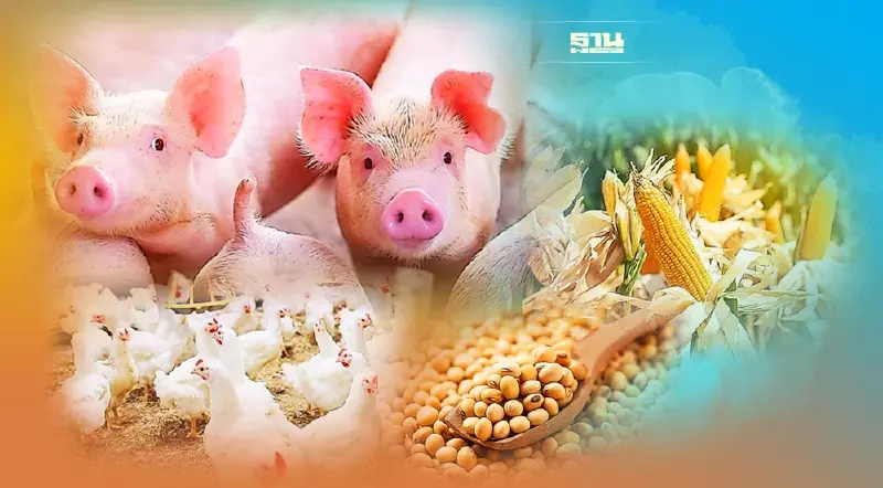 อาหารสัตว์กระทุ้งพาณิชย์ ไฟเขียวปรับราคา ชี้วัตถุดิบยังแพงไม่ต่ำ 6 เดือน