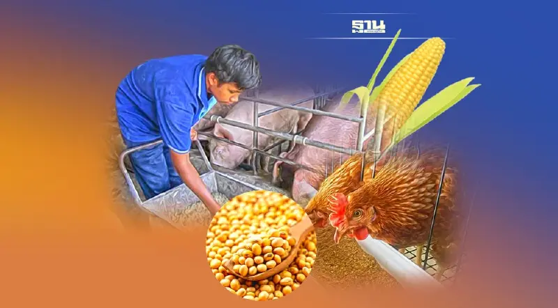 ดับฝัน 2 ค่ายยักษ์ข้ามชาติ ตั้งโรงงานปู่ย่าพันธุ์ หวั่นทุบราคาไข่ร่วง