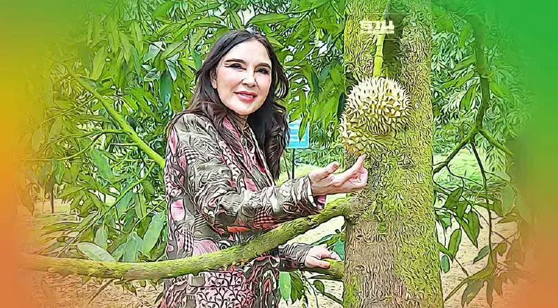 “มนัญญา” นำคณะลงพื้นที่ภาคใต้ ตอกย้ำทุเรียนไทยดีที่สุดในโลก