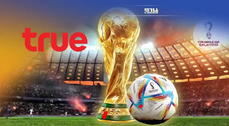 ถ่ายทอดสดฟุตบอลโลก 2002 ทรู ย้ำอ้างสิทธิ์ต้องไม่ผิดกฎหมาย หวั่นถูกระงับ