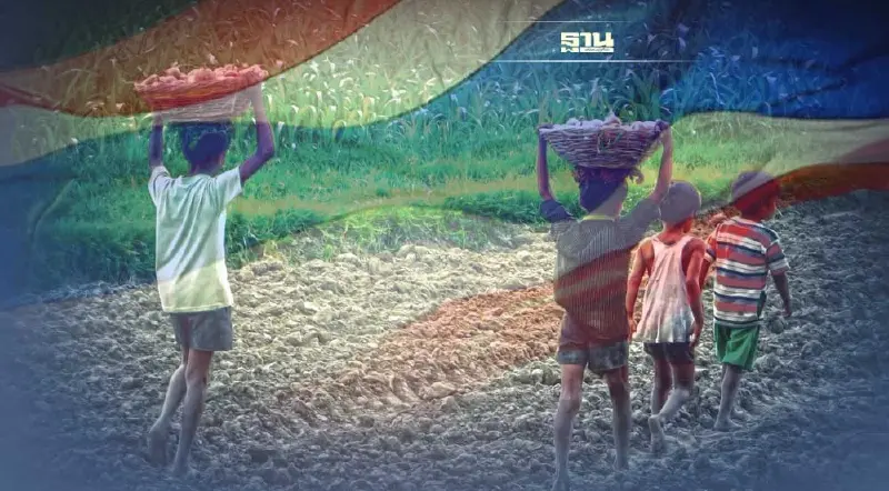 วิกฤตการใช้แรงงานเด็กในไทย ตะลึงหลายพันคนพัวพัน ค้ายา-ค้าประเวณี