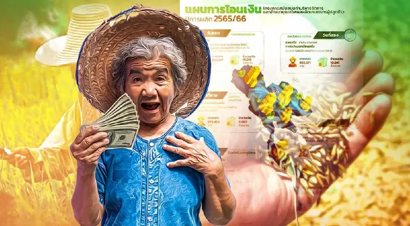 เปิดแผนโอนเงิน ประกันรายได้ข้าวไร่ละ 1,000 ปีการผลิต 2565/66  เช็คด่วนที่นี่