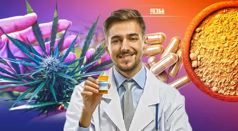 ชี้ชะตา‘กัญชา’ ไปต่อหรือกลับสู่ ‘ยาเสพติด’