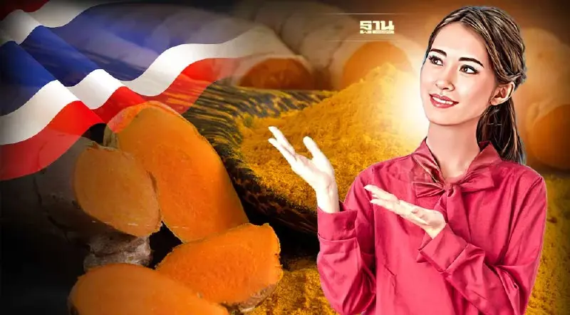 รู้จัก”ขมิ้น” สมุนไพร Product Champion โอกาสทองเกษตรกรไทย