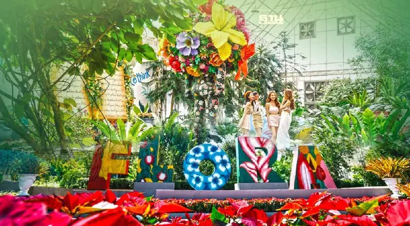 เปิดบ้าน “เพ ลา เพลิน” ชมดอกไม้เมืองหนาว Flowers of Fantasy เปิดบ้าน “เพ ลา เพลิน” ชมดอกไม้เมืองหนาว Flowers of Fantasy