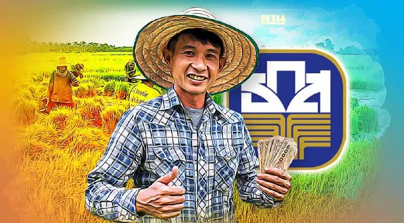 เช็คสิทธิ์ ไร่ละ1,000 ประกันรายได้ข้าว65/66 สถานะโอนเงินล่าสุดได้ที่นี่