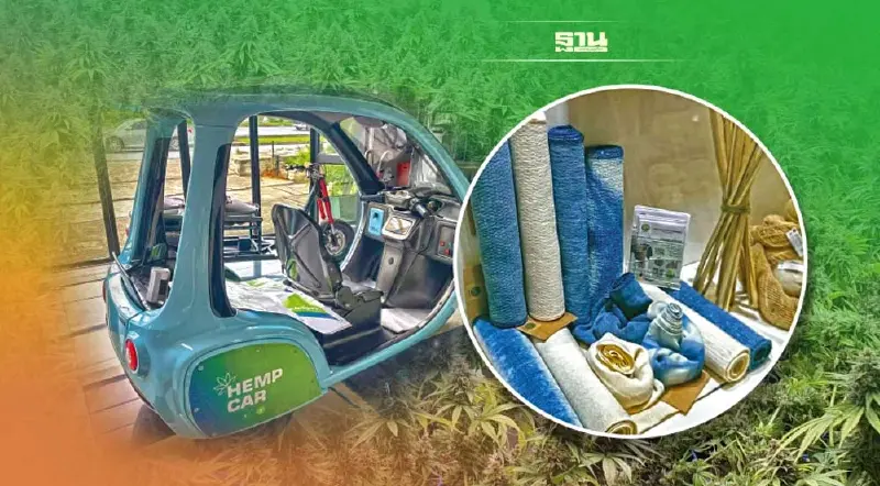 ‘กัญชง’ ไทยเนื้อหอม 25 ประเทศหนุนไทยเป็นฮับ