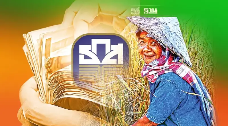 โอนต่อเนื่อง! เงินประกันรายได้ชาวนา  ธ.ก.ส. โอนแล้ว 7 งวด  กว่า 7,006 ล้านบาท