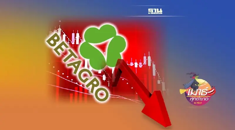 เบทาโกร (BTG) ...ความเจ็บปวดของนักลงทุน เบทาโกร (BTG) ...ความเจ็บปวดของนักลงทุน