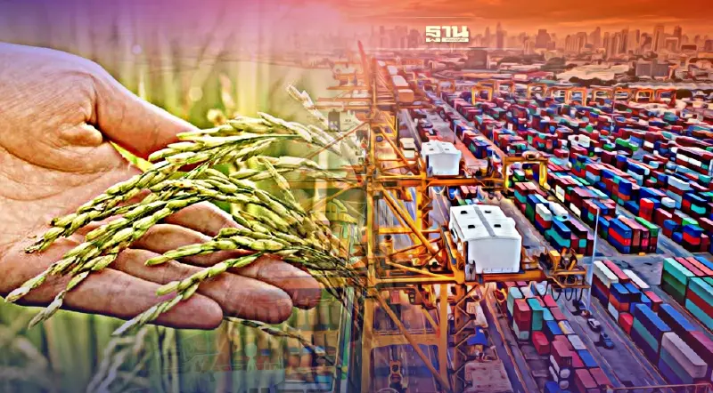 ดันข้าวไทยแหล่งผลิตแปรรูป-ส่งออก  สร้างความมั่นคงทางอาหารคุณภาพโลก