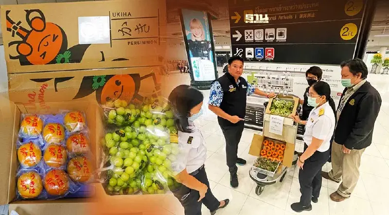 เตือนภัยนักช้อปก่อนหิ้วผลไม้สดเข้าประเทศไทย ต้องรู้!