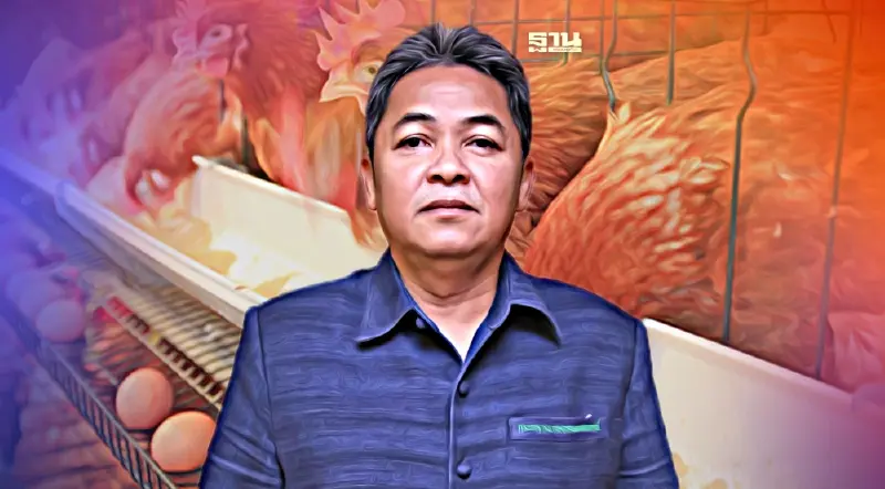 เกษตรฯ ไฟเขียวแผนการนำเข้าแม่ไก่ไข่พันธุ์  ปี 2566