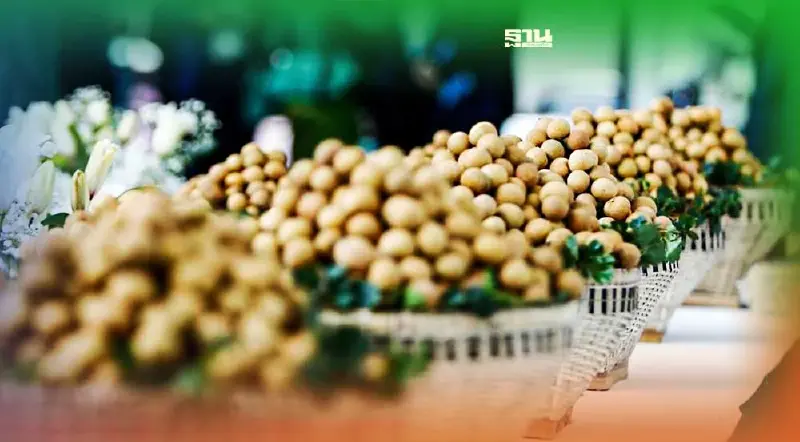 ลำไยกัมพูชาบุกตลาดจีน ส่งออกแล้วทะลุ 2,600 ตันใน 2 เดือน