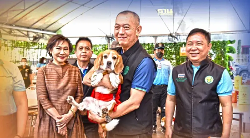 ดีเดย์ 1 ธ.ค. เปิดแผนเผด็จศึกโรคพิษสุนัขบ้า ดีเดย์ 1 ธ.ค. เปิดแผนเผด็จศึกโรคพิษสุนัขบ้า