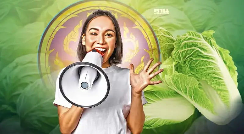 อากาศเย็นส่งผลดีต่อผักใบ“พาณิชย์”เร่งช่วยเกษตรกรหวั่นผักล้นตลาด