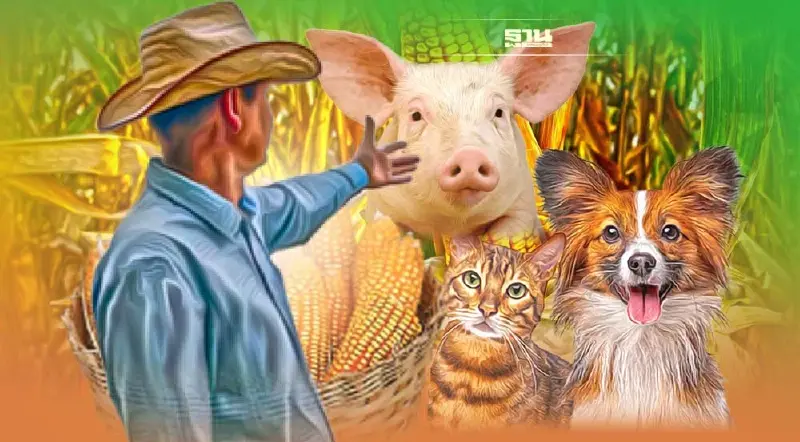 สรุปข่าวเด่น ปี 2565 “ประกันรายได้” สะดุด อาหารสัตว์แพงร้อนข้ามปี