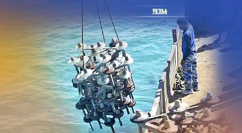 ลูกถ้วยฉนวนไฟฟ้ากฟผ.สร้างบ้านปลา-ปะการังเกาะไม้ท่อนภูเก็ต