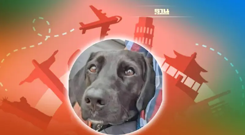 บริติชแอร์เวย์ ส่งสุนัขผิด บินอ้อมโลก 3 วัน 3 สนามบิน