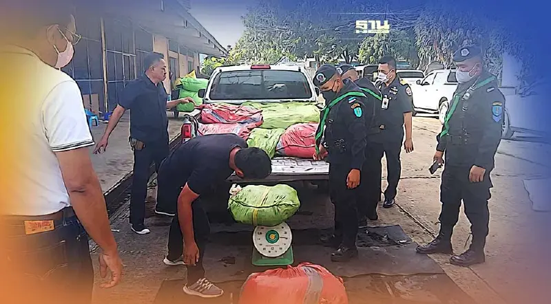 จับอีก ! กองทัพมดลักลอบนำเข้าซากสุกร ชายแดนสระแก้ว 1,500 ก.ก.