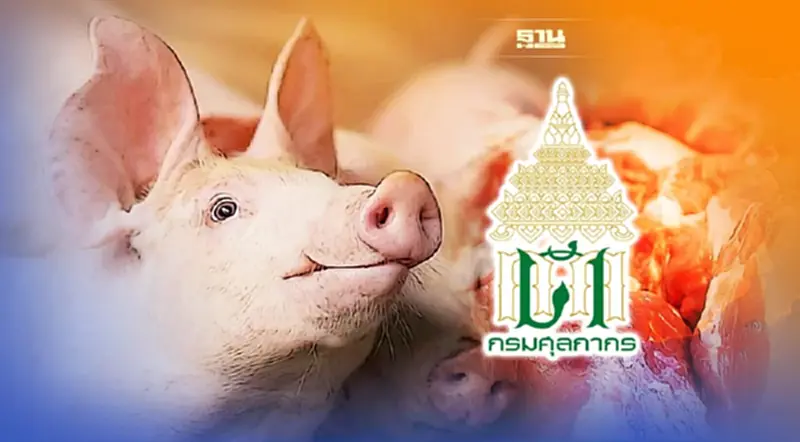 ศุลกากรพบนำเข้าหมูเถื่อนพุ่ง 1.7 แสนกิโลกรัม ศุลกากรพบนำเข้าหมูเถื่อนพุ่ง 1.7 แสนกิโลกรัม