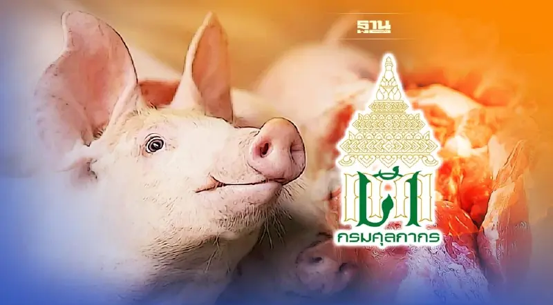 ศุลกากรพบนำเข้าหมูเถื่อนพุ่ง 1.7 แสนกิโลกรัม