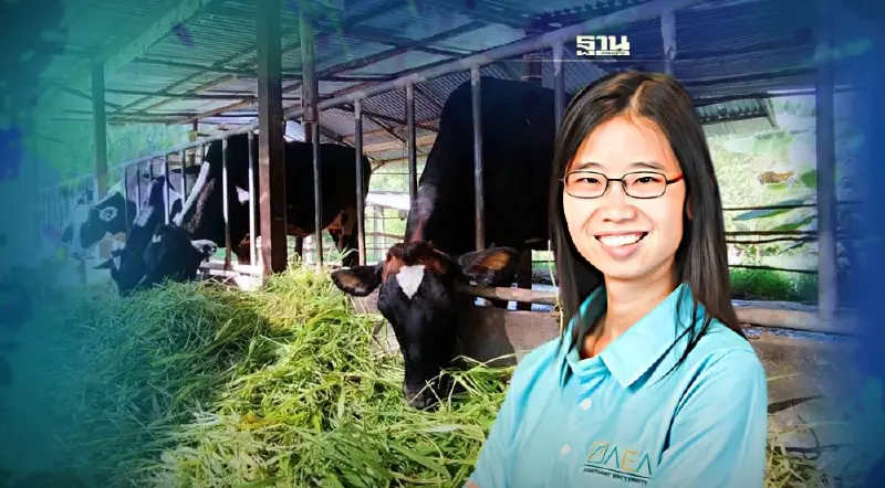 เทคโนโลยีแม่นยำ : ทางรอดของผู้เลี้ยงโคนมไทย