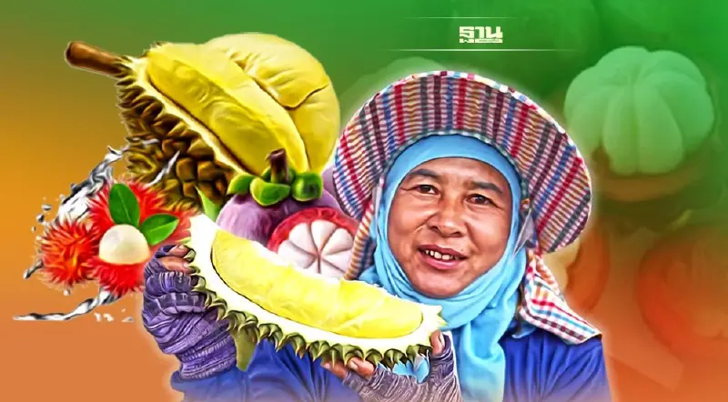 ปีทองชาวสวนผลไม้ภาคใต้"ทุเรียน-เงาะ-มังคุด"นอกฤดูเพียบราคาพุ่ง