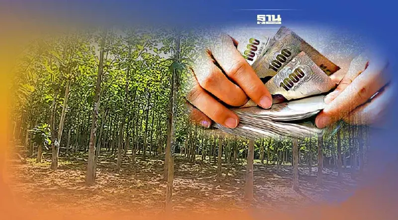 เปิดผลงานรัฐบาล "ชุมชนไม้มีค่า" เฟสแรก เพิ่มพื้นที่สีเขียว 1.07 แสนไร่  