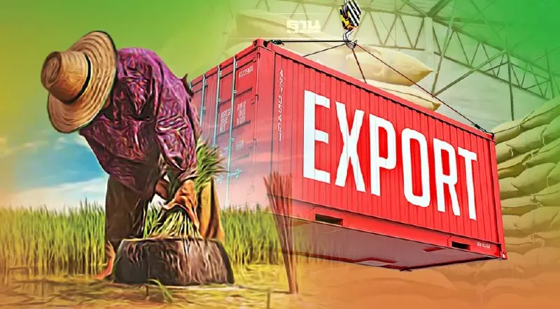 ลุ้น ส่งออกข้าวไทย  8.3 ล้านตัน พุ่งสูงสุด รอบ 4 ปี