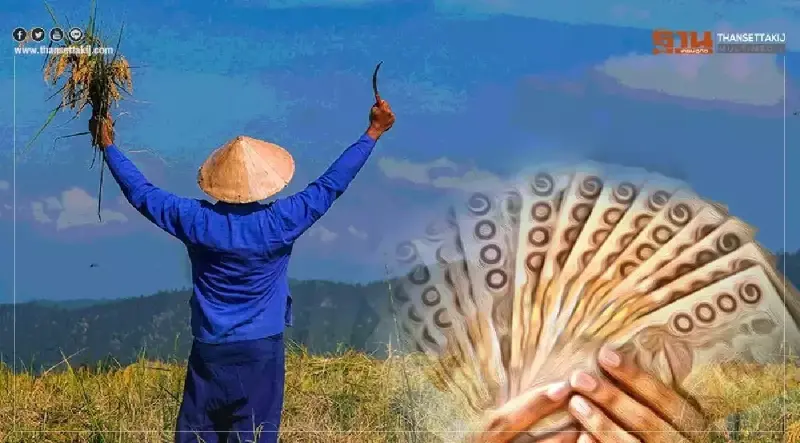 ตรวจสอบเงิน "ประกันรายได้เกษตร" จ่ายส่วนต่าง "ประกันราคาข้าว" งวดที่ 12