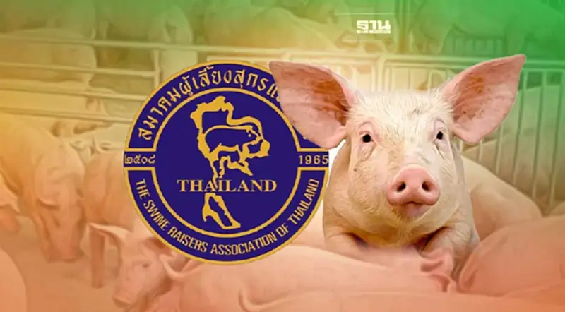 เปิดโปง “บราซิล” ชิ้นส่วนสุกรลักลอบนำเข้าสูงสุด เปิดโปง “บราซิล” ชิ้นส่วนสุกรลักลอบนำเข้าสูงสุด