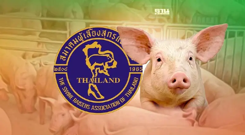 เปิดโปง “บราซิล”  ชิ้นส่วนสุกรลักลอบนำเข้าสูงสุด