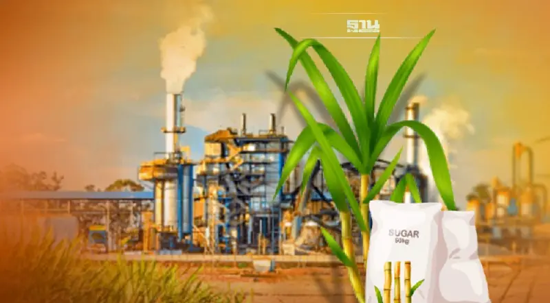 3 รัฐมนตรี หักดิบใช้อำนาจตั้งกรรมการอ้อยฯ ดันเปิดหีบ-เคลื่อนอุตฯไปต่อ