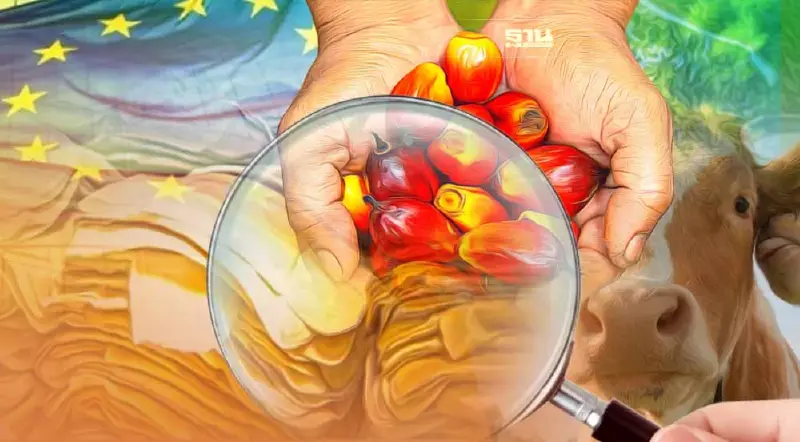 เช็กด่วน "อียู"จ่อห้ามนำเข้า 7 กลุ่มสินค้าทำลายป่ามีผลบังคับใช้กลางปี66