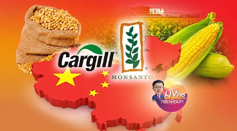 เมื่อจีนเดินหน้ายกระดับความมั่นคงด้านอาหาร (5)