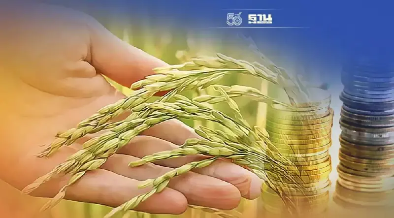 ตรวจสอบ "เงินประกันรายได้เกษตรกร" ส่วนต่าง "ประกันราคาข้าว" งวดที่ 9