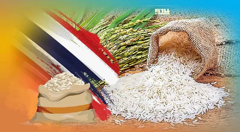 ดันไทยผู้นำตลาดข้าวคุณภาพโลก เปิดจุดบริการตรวจDNAข้าวไทย