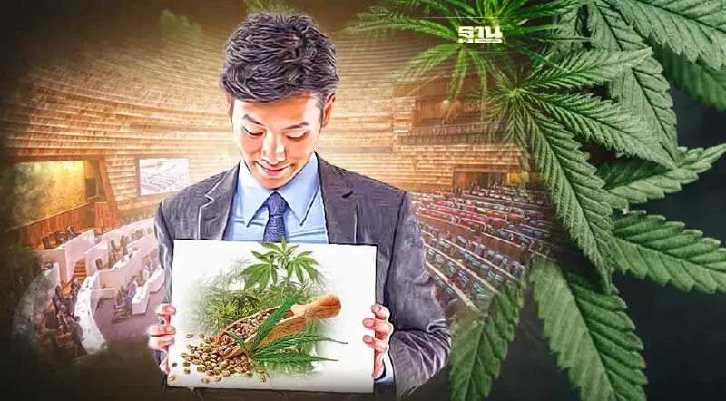 มติสภาเห็นชอบตัดมาตรา 3 "กัญชา-กัญชง" ไม่เป็นยาเสพติด