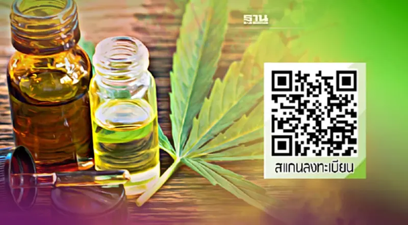 สแกน Qr code ลงทะเบียนแจก "น้ำมันกัญชา" ฟรี สแกน Qr code ลงทะเบียนแจก "น้ำมันกัญชา" ฟรี
