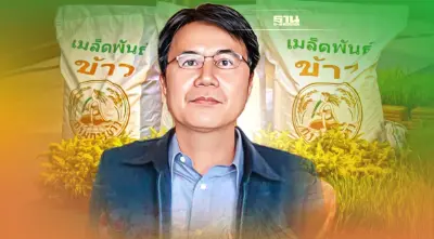 กรมการข้าว เทงบ 1,000 ล้าน  ขาย “เมล็ดข้าวพันธุ์ดี” หั่นราคา กิโล 3-5 บาท