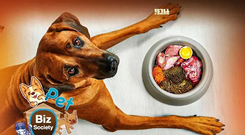 ตลาดอาหารสัตว์เลี้ยงจีนมูลค่า 7 แสนล้านบาทบูม