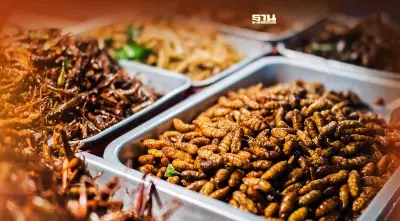 ทำไม “แมลง” จึงเป็นตลาดโปรตีนทางเลือกที่น่าสนใจ